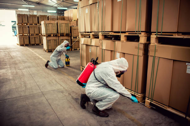 Best Exterminator Services  in Wilmer, TX