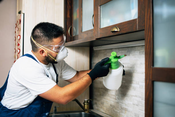 Best Affordable Pest Control Services  in Wilmer, TX