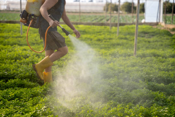 Best Best Pest Control Companies  in Wilmer, TX