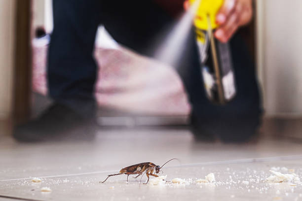 Best Best Pest Control Companies  in Wilmer, TX
