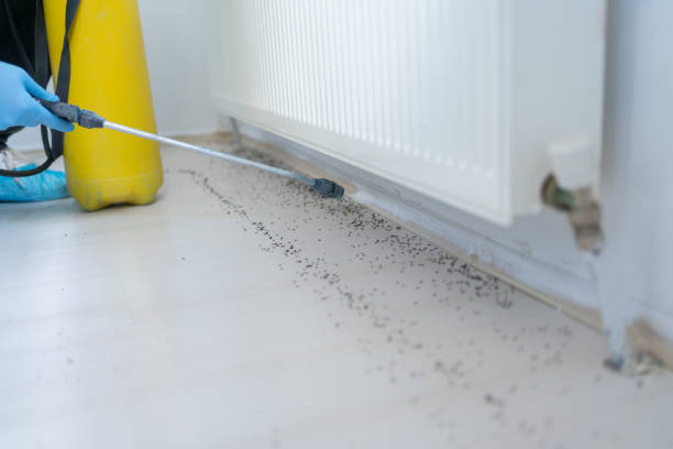Best Pest Control Treatment  in Wilmer, TX
